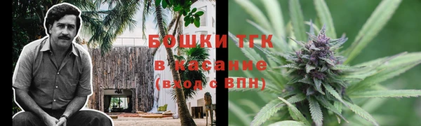 бошки Алзамай