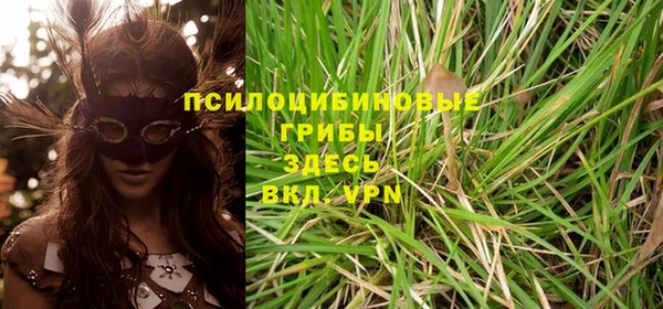 бошки Алзамай