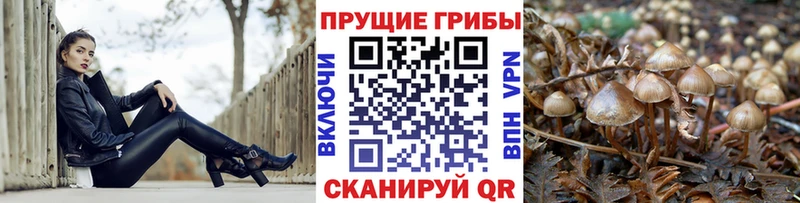 купить наркотики цена  Алексеевка  Галлюциногенные грибы ЛСД 