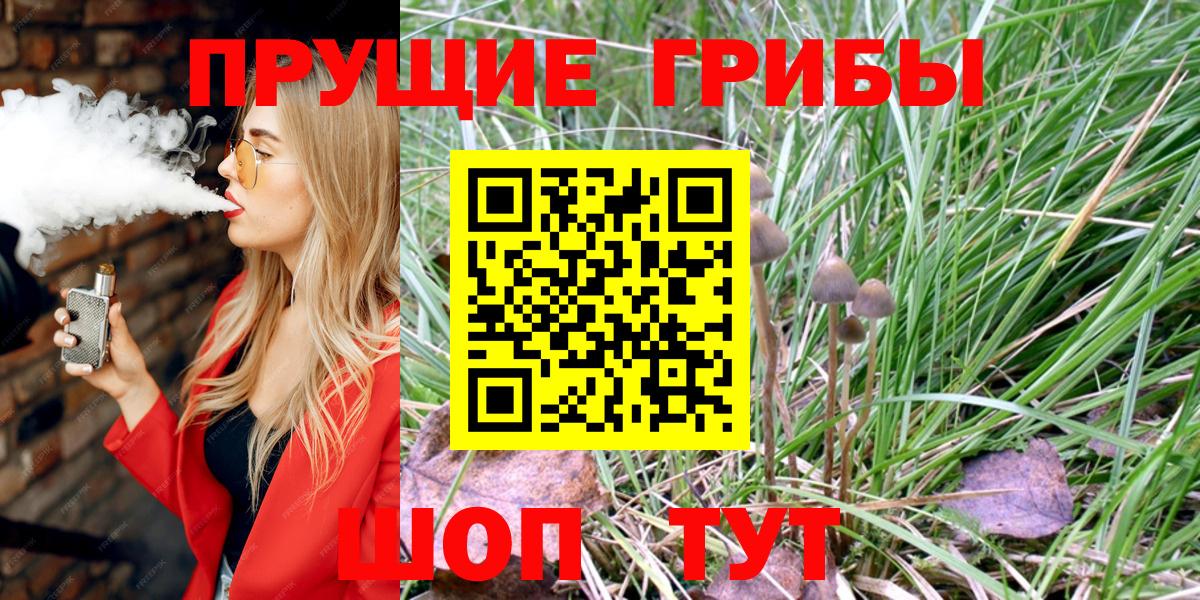 Псилоцибиновые грибы Cubensis  Псилоцибиновые грибы GOLDEN TEACHER  Вход с VPN  купить  цена  Алексеевка 