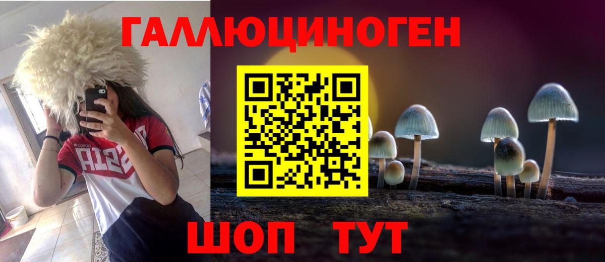 Псилоцибиновые грибы GOLDEN TEACHER Алексеевка